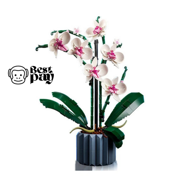 Mini Orquídeas Decorativas De Montar